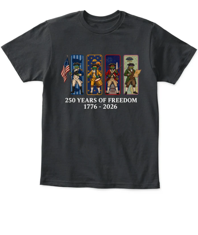 Teenage Mutant NinjaTurtles 250 Years ofFreedom 1776-2026Patriotic Printed GraphicHoodie Sweatshirt T-Shirt